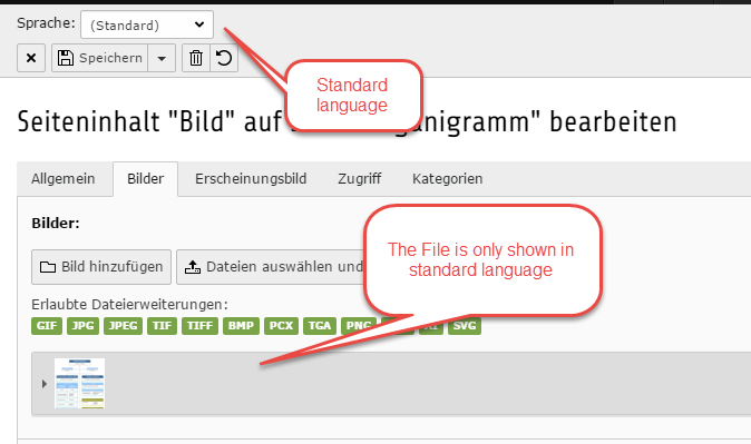 standard_language.png